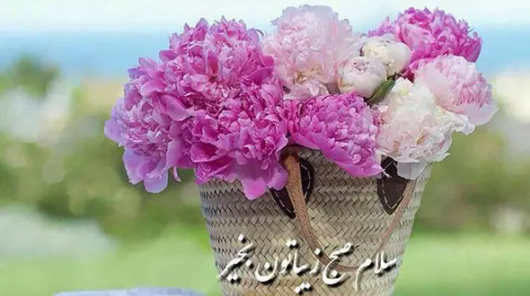 فال روزانه شخصی / 17 تیر ماه + فیلم