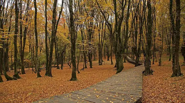 اجرای پروژه پارک آبخیز النگ‌دره به عنوان اولین پایلوت در استان گلستان + فیلم