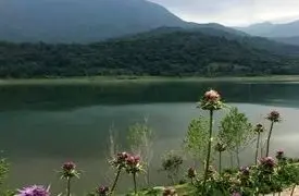 از شاهراه گیلان تا طبیعت فارس