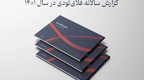 انتشار گزارش سالانه فلای تودی از واقعیت پرده برداشت!