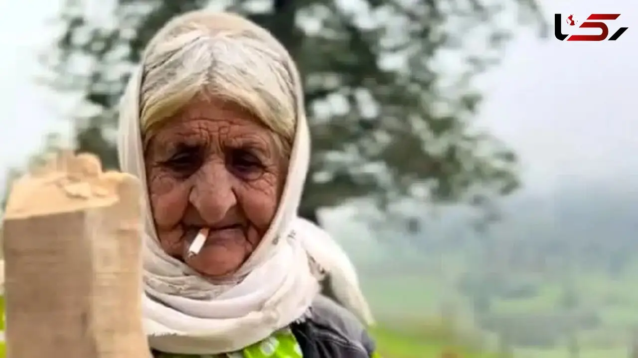 آواز محلی؛ غرق شدن مادربزرگ عشایر با آهنگ سوزدار سعید کریمی فقط سیگار رو لبش