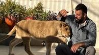 بغض جگرسوز امیر علی اکبری از مرگ شیرش در باغ وحش ارم / چه بگویم؟