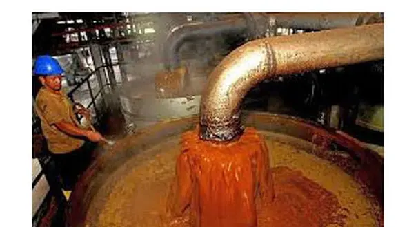 سود جویان با روغن پالم می خواهند مردم را بکشند ؟