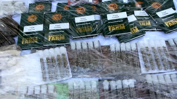 قاچاق سلطان شاهدانه از اسپانیا به ایران! / این ها بمب هستند +  فیلم