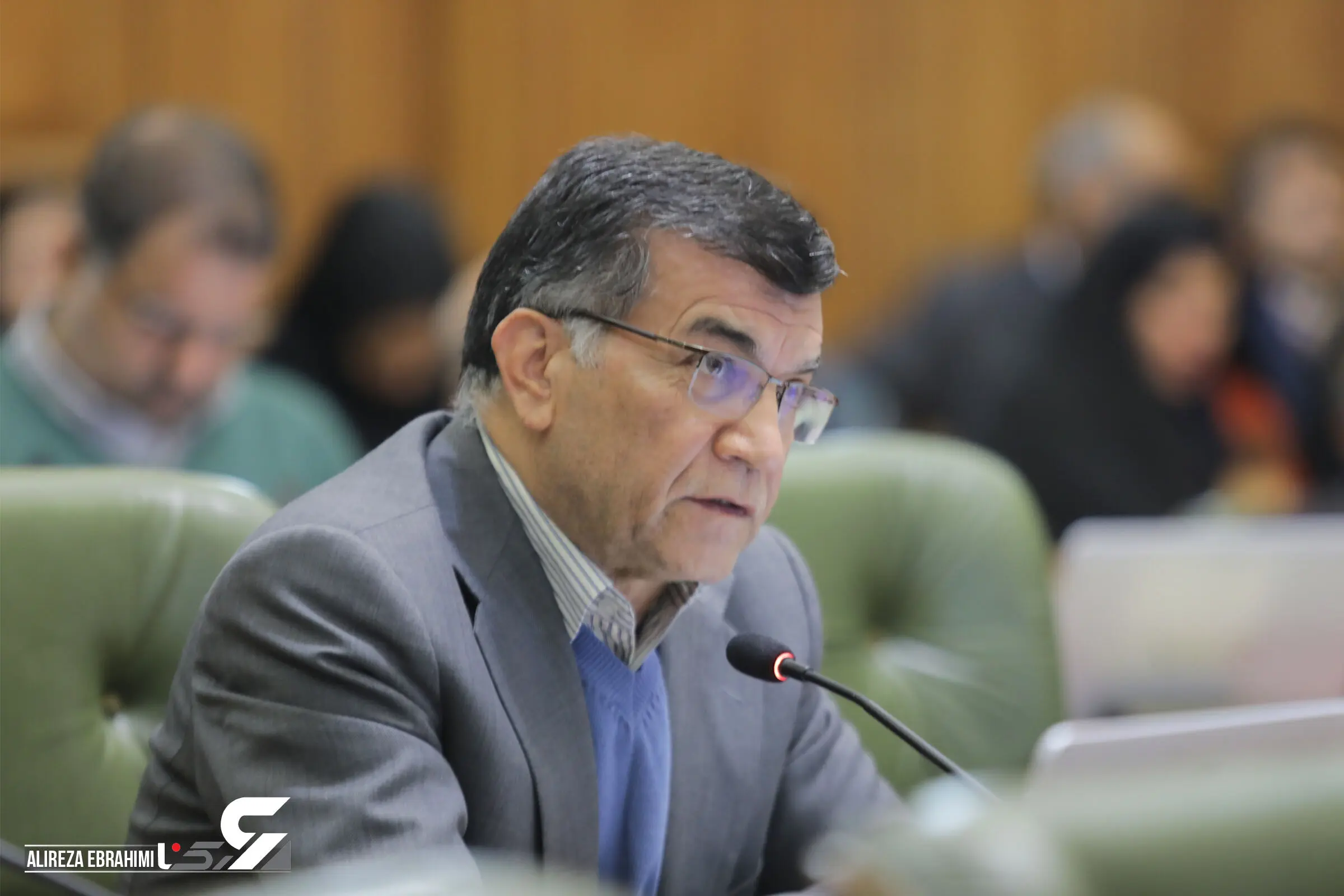 رسولی: نباید به متخلف قطع درخت پاداش داد