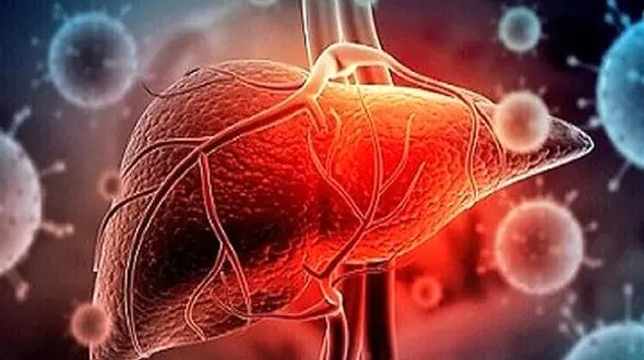 کرونا چه آسیبی به کبد شما می رساند؟