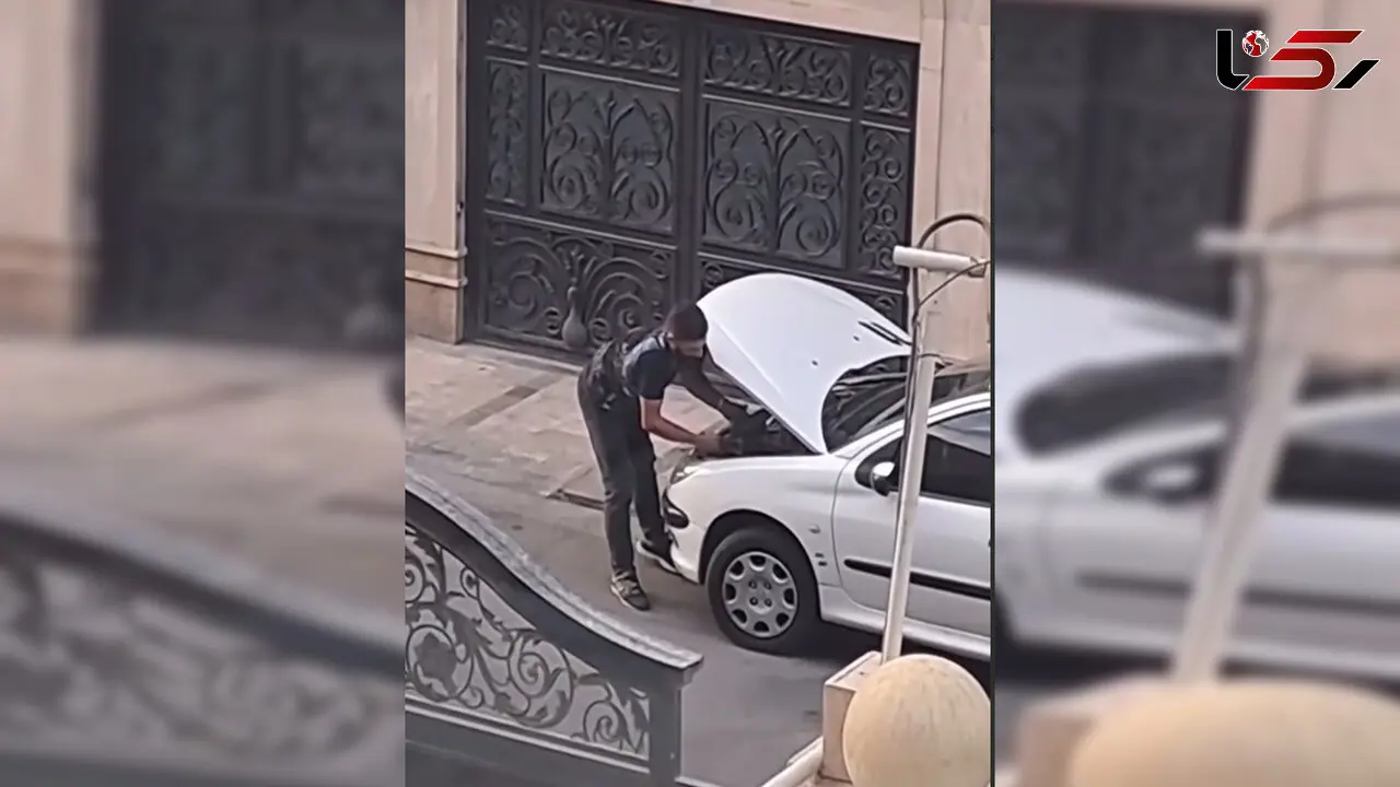 فیلم چهره باز دزدان تهران /  لحظه سرقت ایسوی  206 سفید در خیابان پیروزی