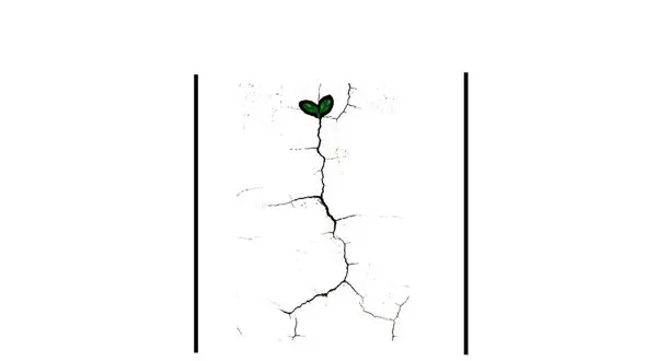 داستانک امروز / عشق دوتا خط موازی