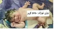 تولد نوزاد ۵.۶ کیلویی در کرمانشاه؛ کوچولویی به وزن یک نوزاد چندماهه! + عکس