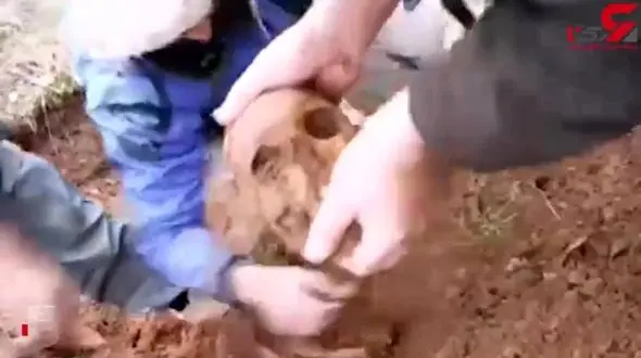 لحظه تلخ پیدا شدن تکه‌ های استخوان شهدا در کردستان عراق + فیلم