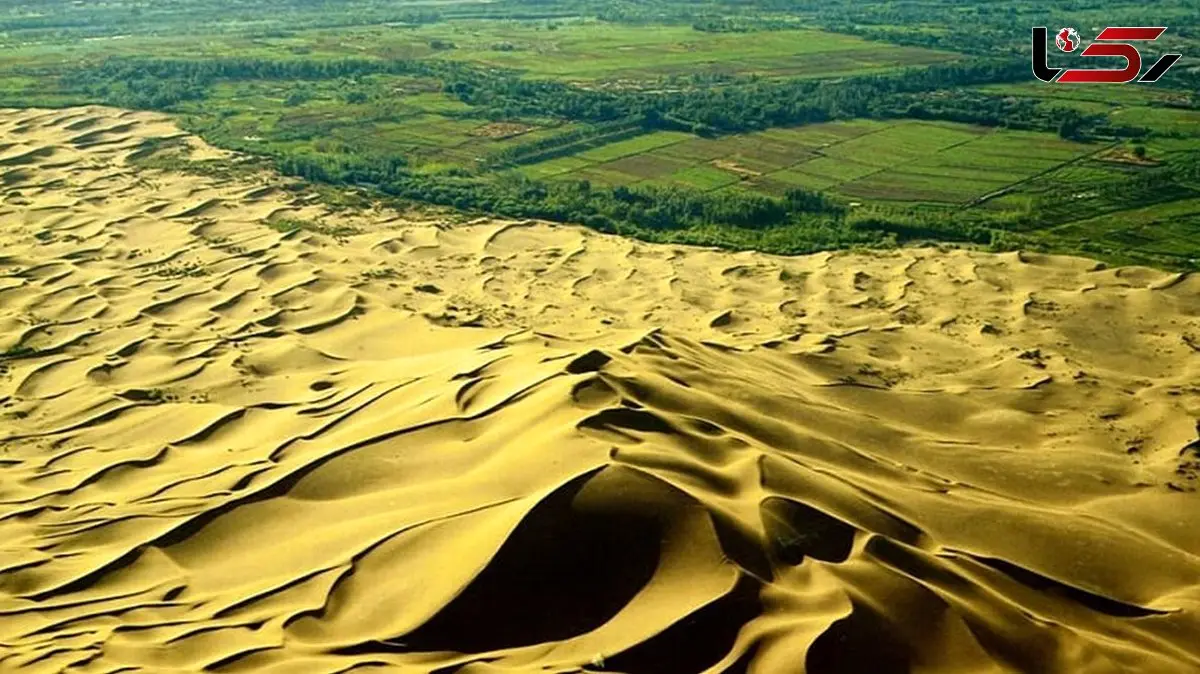 چگونه دیوار سبز چین به نماد حفاظت محیط زیست تبدیل شد؟