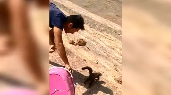 دلرحم ترین روستایی دلیجان را بشناسید/ ستار قاتل مرغ و خروس هایش را تیمار کرد+ فیلم