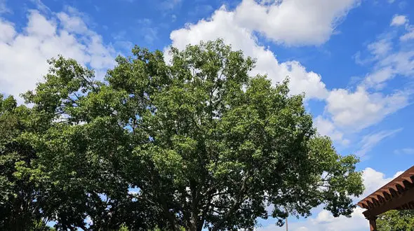 فال ابجد مخصوص 10 مهر 