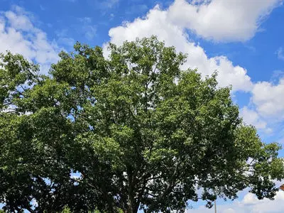 فال ابجد روزانه 9 بهمن