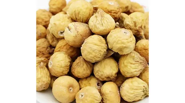 صادرات پر سود انجیر