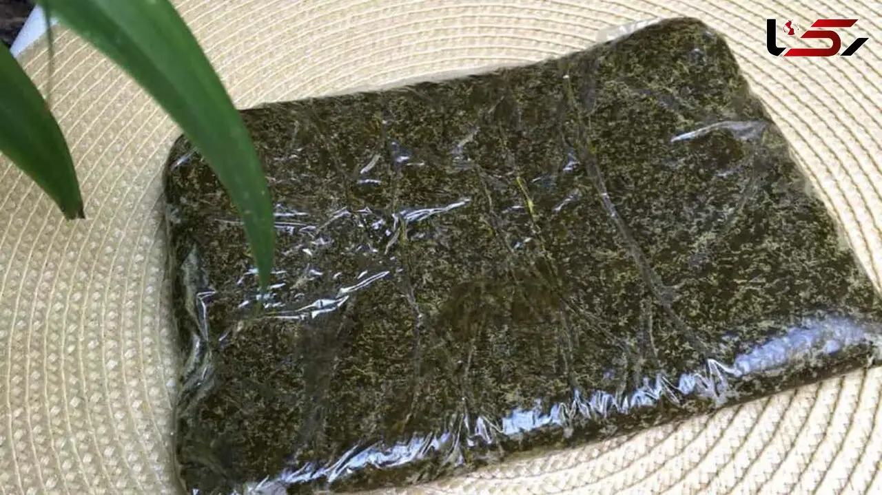 این مواد غذایی را هرگز فریز نکنید