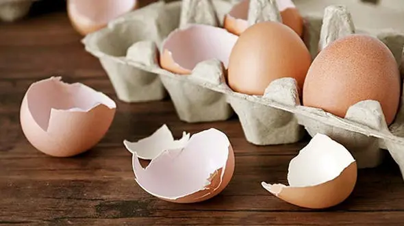 چرا نباید پوست تخم مرغ را دور ریخت