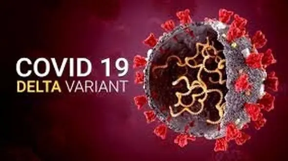 حقایقی ترسناک درباره ویروس کرونای "لامبدا"