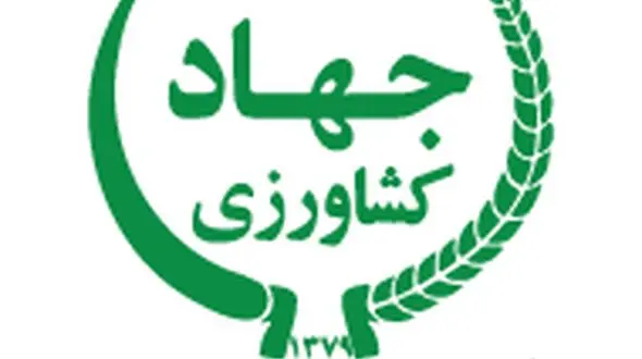 خسارت محصولات کشاورزان ایلام تا پایان آبان ماه پرداخت می شود