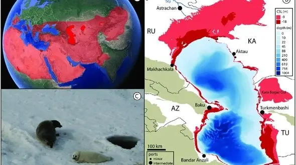 آب دریای خزر سالانه به طور متوسط ۲۰ سانتی متر کاهش می‌یابد
