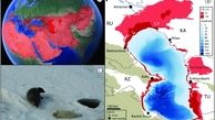 فوک خزری و 5 گونه ماهیان خاویاری در معرض انقراض /تهدید جمعیت آبزیان با خشک شدن رودخانه های منتهی به خزر  