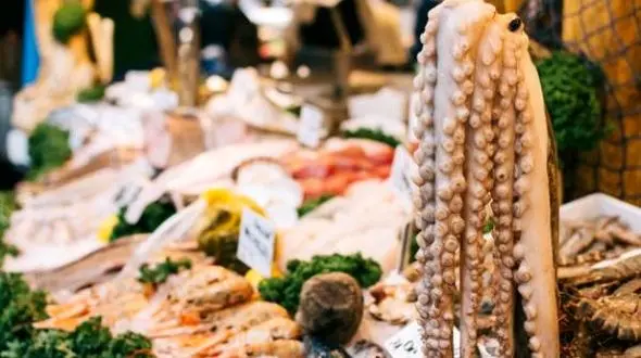 اختاپوس زنده چندش آورترین غذای محبوب این کشور+عکس