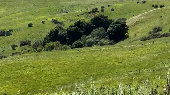 موفقیت با عرق ریختن به دست می آید