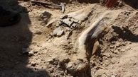 کشف  جسد زن دفن شده  در شمس آباد تهران هنگام خاکبرداری ! / پلیس جنایی وارد عمل شد