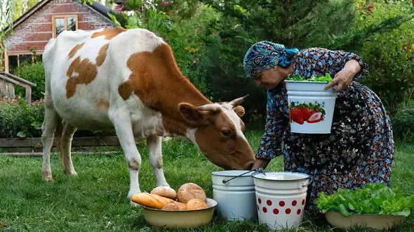 سفر به طعم غذاهای روستایی؛ دوغ تازه، سوپ ماست و نان تنوری آذربایجان / فیلم