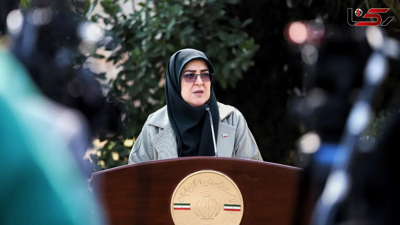 سخنگوی دولت: فعالیت شبکه سوخت پایدار است و مشکلی وجود ندارد