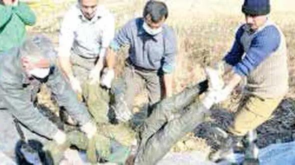 سرنوشت هولناک دزد گمشده در شالیزار+عکس