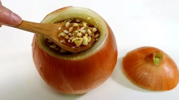 فیلم/ در منزل آنتی بیوتیک طبیعی بساز 