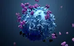 lymphocytes چیست؟ /  پاسخ به 8 سوال درباره لنفوسیت + فیلم 