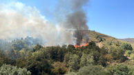 آتش سوزی در ۲ هکتار از عرصه‌های منابع طبیعی گرگان مهار شد