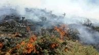 وقوع آتش‌سوزی در مراتع کنگاور