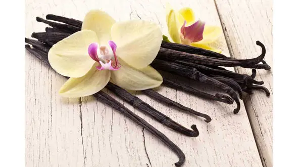 درمان این بیماری پوستی با عصاره وانیل