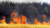 2 هکتار از مزارع روستای حسین آباد فسا در آتش سوخت