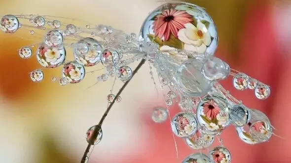 فال روزانه شخصی / 11 دی ماه + فیلم