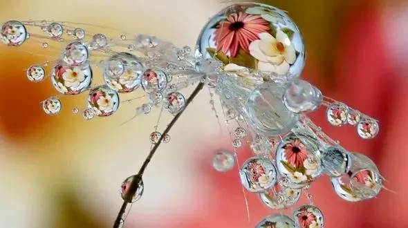 فال روزانه شخصی / 11 دی ماه + فیلم