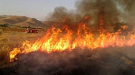 8 هکتار از زمین های کشاورزی دالاهو در آتش سوخت