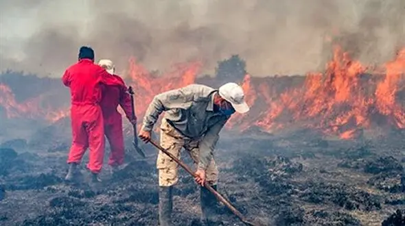 وقوع 13  آتش سوزی سریالی در منطقه میانکاله / کشت کنندگان ماری‌جوآنا میانکاله را به آتش می کشند 