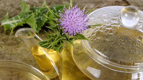 7 دمنوش مناسب برای کاهش چربی خون + طرز استفاده