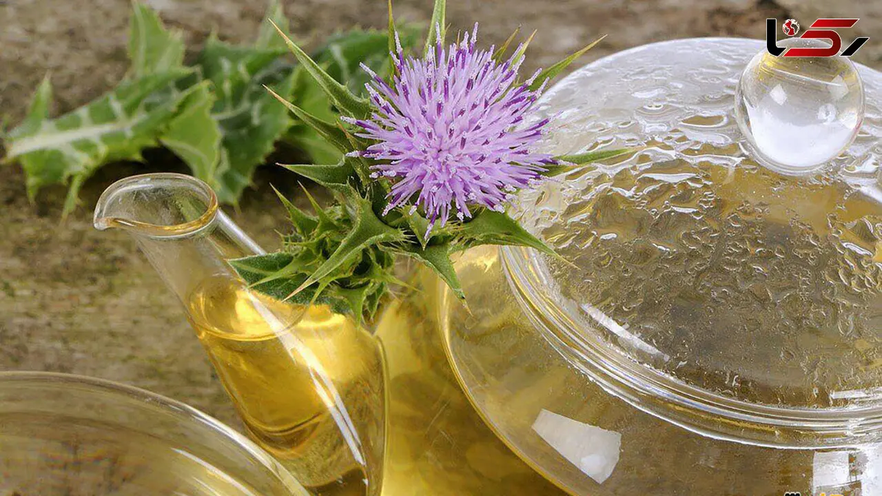 7 دمنوش مناسب برای کاهش چربی خون + طرز استفاده