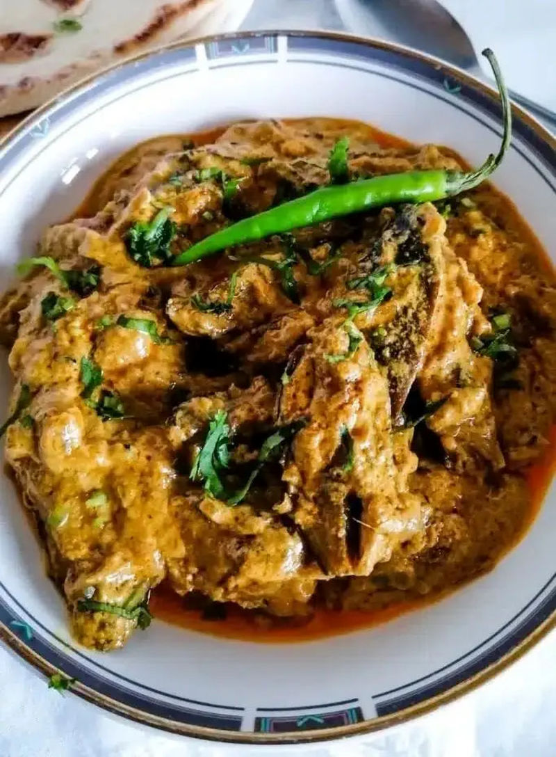 کشک بادمجان