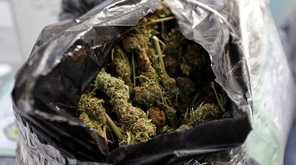 فروش مواد مخدر گل در فضای مجازی/ والدین مراقب فرزندان خود باشند