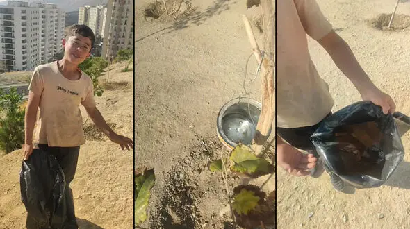 این کودک افغانستانی آرزویش نجات سرسبزی تپه ای در شمال تهران است / فقط می گوید: ته سیگار نریزید  + فیلم