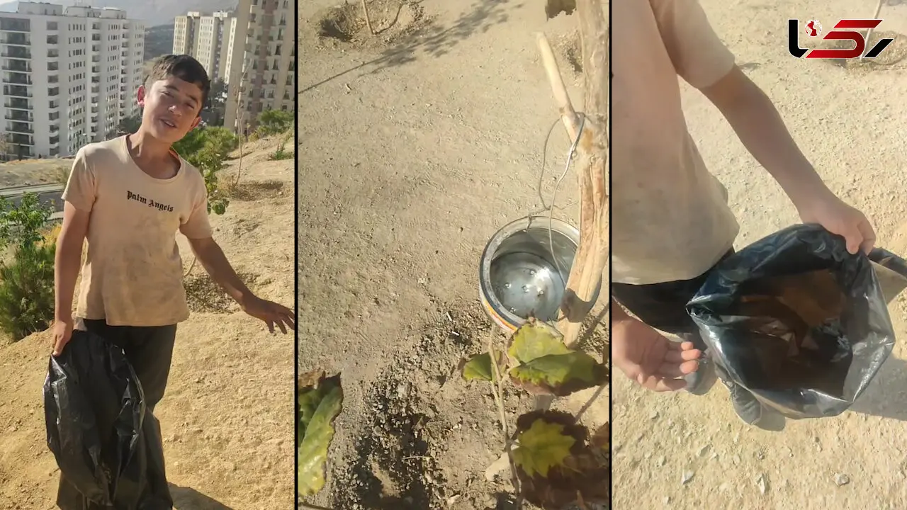 این کودک افغانستانی آرزویش نجات سرسبزی تپه ای در شمال تهران است / فقط می گوید: ته سیگار نریزید  + فیلم