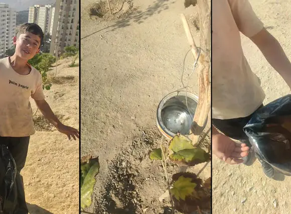 این کودک افغانستانی آرزویش نجات سرسبزی تپه ای در شمال تهران است / فقط می گوید: ته سیگار نریزید  + فیلم