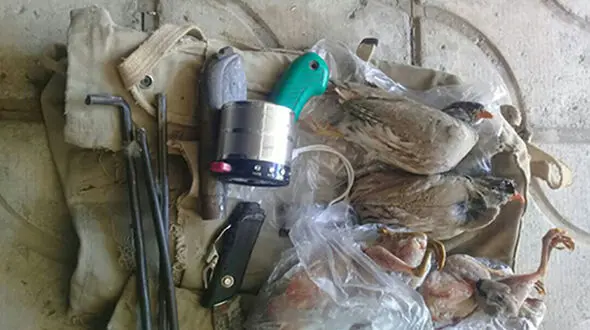 2 شکارچی که پرندگان وحشی را در کازرون فریب می دادند دستگیر شدند