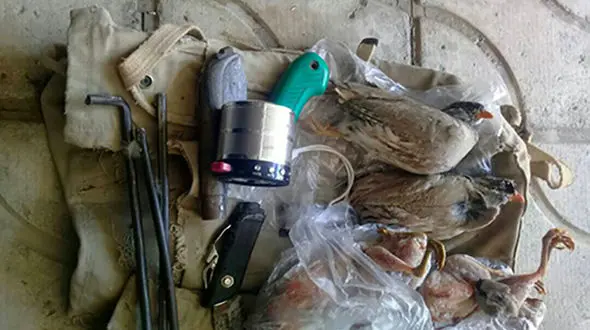 2 شکارچی که پرندگان وحشی را در کازرون فریب می دادند دستگیر شدند